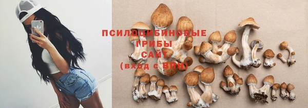 МДПВ Белокуриха