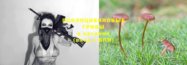 МДПВ Белокуриха