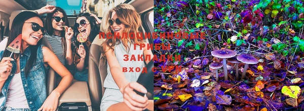 МДПВ Белокуриха