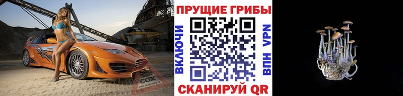 Псилоцибиновые грибы GOLDEN TEACHER  Купить  Городец 